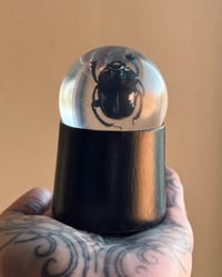Image 1 of Resin Beetle Stand 1