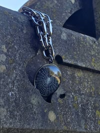Image 2 of Spiked - Arachne Chain - preserved web C