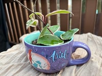 Image 1 of Sea Star Hoya in Ariel the Little Mermaid Mug