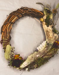 Image 2 of Deer Jaw Wreath