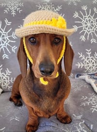 Image 1 of Crochet Dachshund Easter Bonnet Pattern