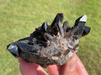 Image 6 of Smoky Quartz Crystal Points Cluster #2002