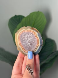 Image 1 of DOUBLE SIDED QUARTZY LAGUNA AGATE SLICE N