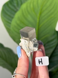 Image 8 of CHOOSE YOUR OWN PYRITE CUBES -SPAIN- LOT 2