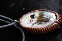 Image 9 of dead good dandelion and insect necklace
