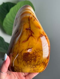Image 4 of XL ORBICULAR CARNELIAN FREEFORM -MADAGASCAR-