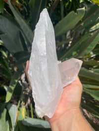 Image 13 of Clear Quartz Crystal Point Cluster #1634
