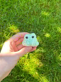 Image 4 of Baby Frogs