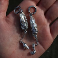 Image 2 of Mycelial Memory