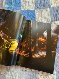 Image 4 of Moon Dust, Robert LeBlanc, 2021.