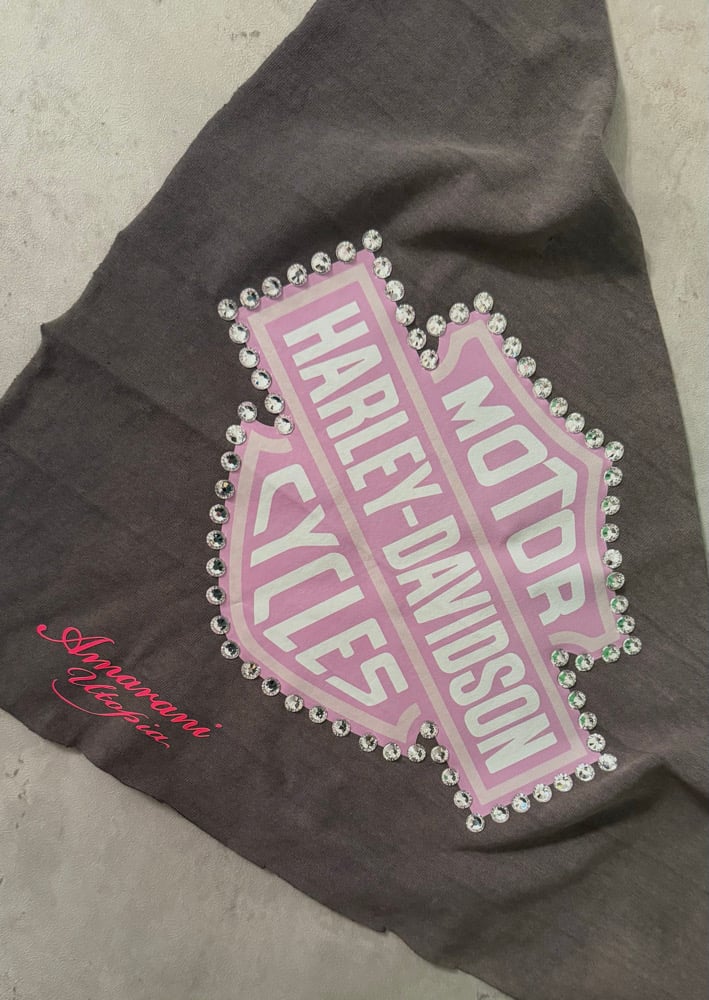 Sun faded Harley Bandana