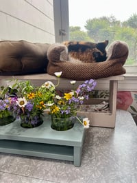 Image 12 of Cat-Safe Vase