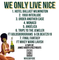 Image 2 of We Only Live Nice 