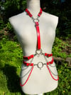 Ruby Harness Set