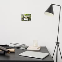 Image 4 of Mushroom Tree Premium Photo Print 