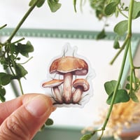 Image 1 of mushroom sticker