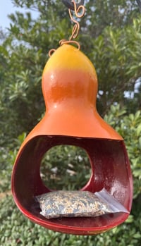 Bottle Gourd Bird Feeder