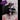 Clawdeen Lighter Leash