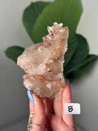 Image 2 of SUNSET PHANTOM QUARTZ -INDIA- *DISCOUNTED LOT*