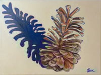 Image 1 of Loblolly Pine Cone #2