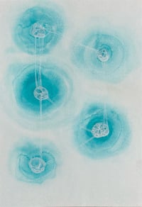 Mycelium Dream II