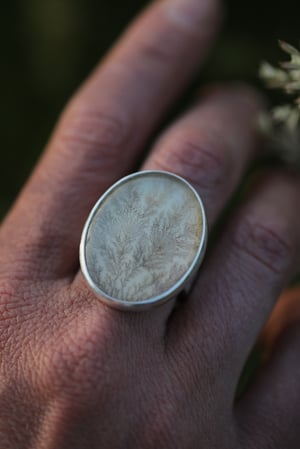 Image of Moss collector ring