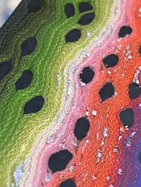 Image 4 of Rainbow Trout with Aluminum Shavings by Mikie