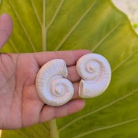 Image 2 of Large Seashell Studs