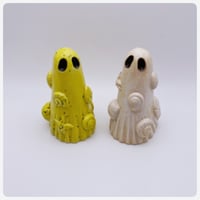Image 2 of Shells 7 cm