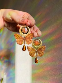 Image 4 of 🌛🧡Monarch Moons🧡🌜