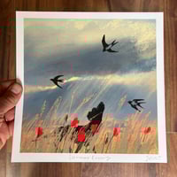 Summer Evening - Archive Quality Print