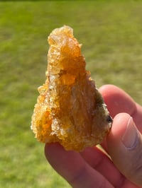 Image 14 of Golden Selenite Specimen #2219