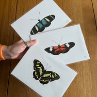 Image 1 of Butterfly Print #4 - Various Designs