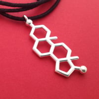 Image 2 of testosterone necklace