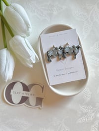 Discounted snow flake Brahman 