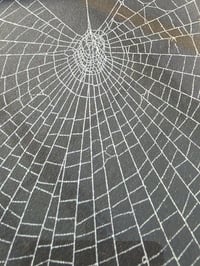 Image 2 of LARGE silver ornate framed preserved web