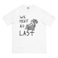 Image 1 of we meet at last skunk