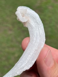 Image 9 of Rams Horn Selenite, Gypsum Specimen | Guizhou China #2867