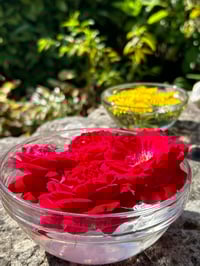 Image 4 of CONSULTA TERAPIA FLORAL & FLORES DE BACH 
