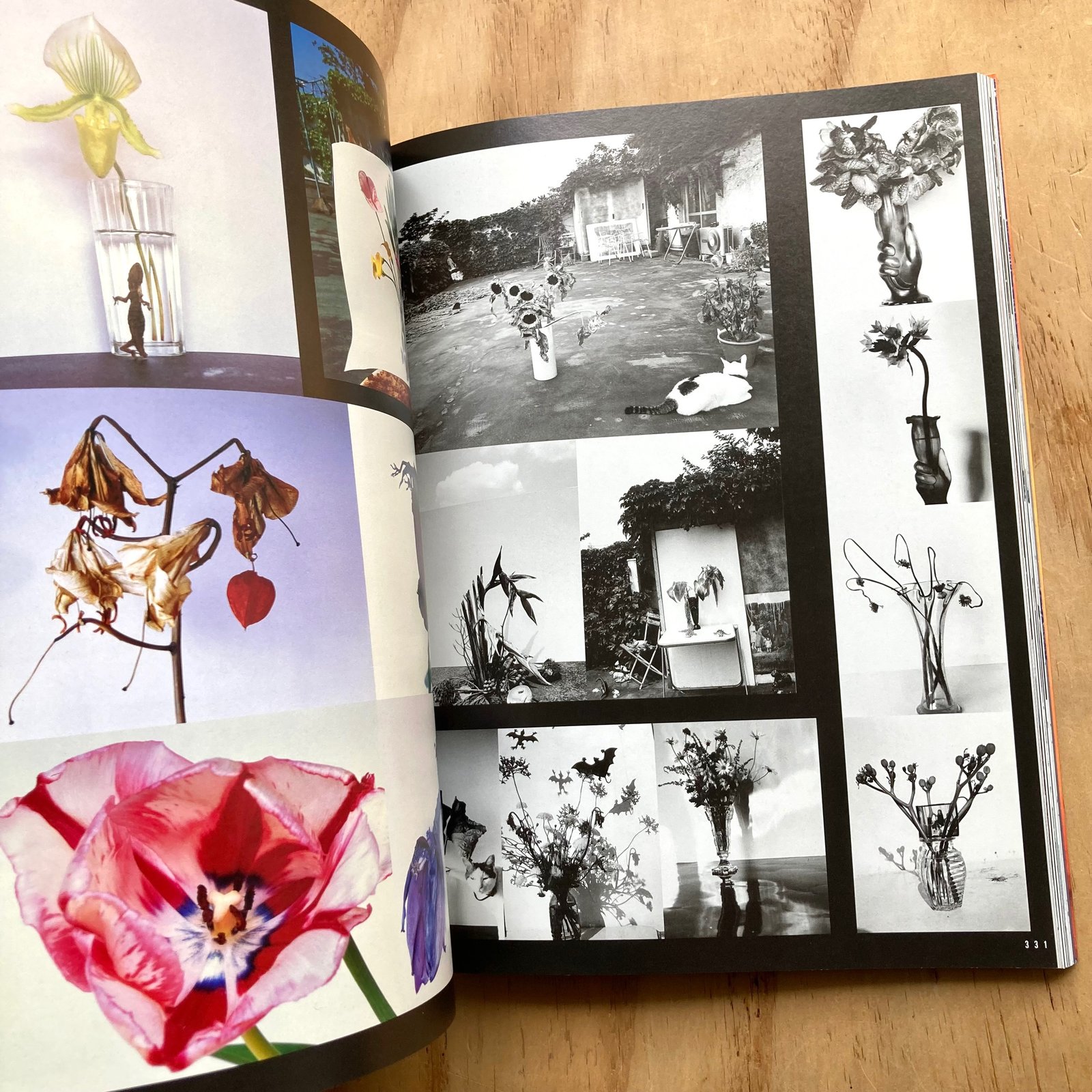 araki-by-araki.jpg?auto=format