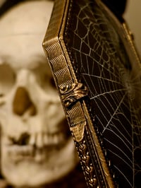 Image 4 of Coffin shaped vintage Hand Mirror - With Real Preserved Spider Web 