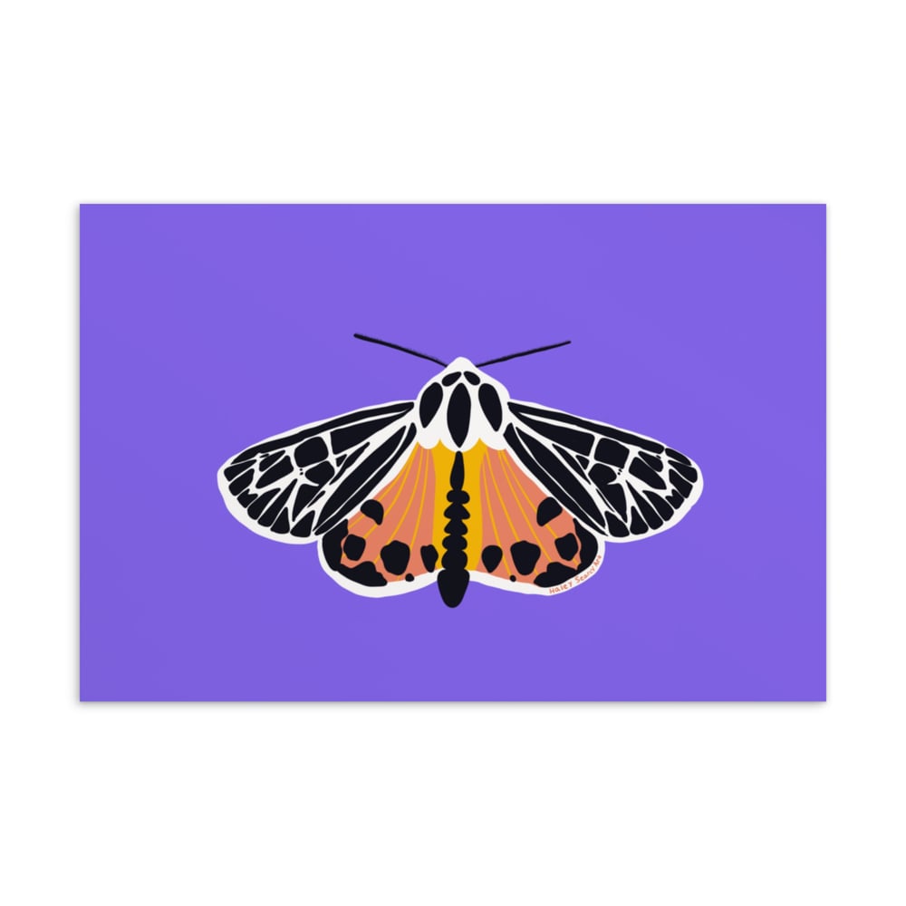 Moth (Purple Background) Print