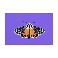 Moth (Purple Background) Print