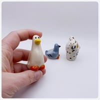 Image 3 of Birdies