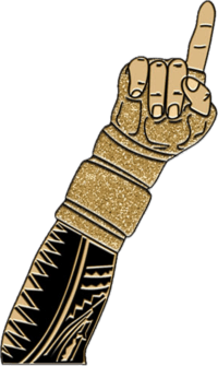 The One Pin LIMITED EDITION