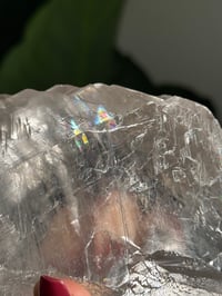 Image 17 of RAINBOW FILLED LA PLATOSA SELENITE -MEXICO- B