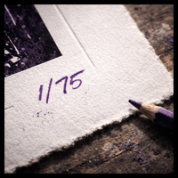 Image 5 of Purple Rain