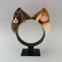 Image 1 of Latte Kitten