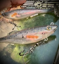 Image 2 of 6” Cutt Throat RIGGED Swimbaits - “MEAN TROUT”