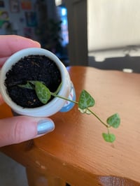 Image 4 of String of Hearts in Walking Legs Egg Cup BLUE (4 TOTAL)